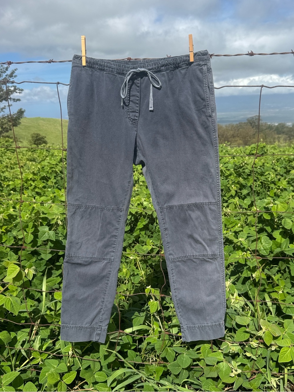 Xirena Gray Utility Pullon Cotton Pants Small
